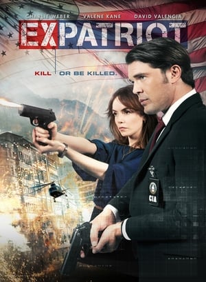 ExPatriot 2017 Hindi Dual Audio 300MB HD Poster Download - filmyfly