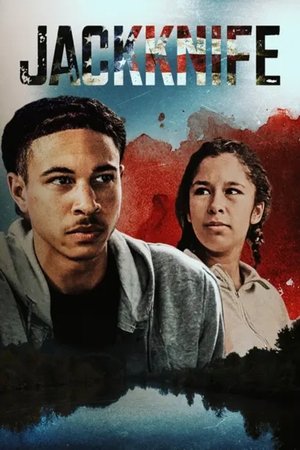 Jackknife (2024) Hindi (MULTI AUDIO) – – HD Poster Download - filmyfly