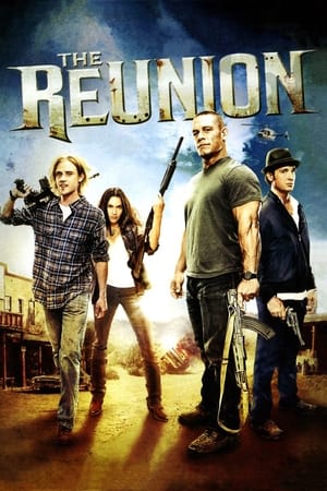 The Reunion (2011) Hindi Dual Audio [900MB] HD Poster Download - filmyfly