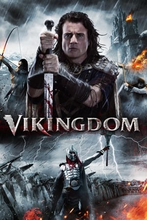 Vikingdom 2013 Hindi Dual Audio 380MB HD Poster Download - filmyfly