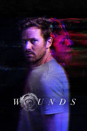 Wounds (2019) Hindi Dual Audio 300MB HD Poster Download - filmyfly